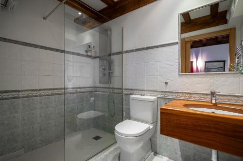 a bathroom with a toilet and a sink and a shower at Mr de Alborada del eo in Villameitide