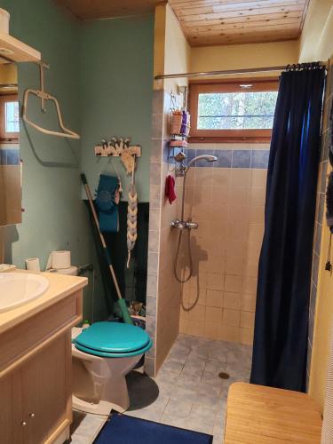 a bathroom with a shower and a toilet and a sink at Chalet Vététiste in Laveissière