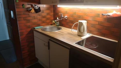 a kitchen with a sink and a brick wall at Appartement Simonhöhe mit Pool in Zirkitz