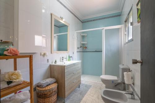 a bathroom with a toilet and a sink and a shower at Una casa azul in Manzanilla