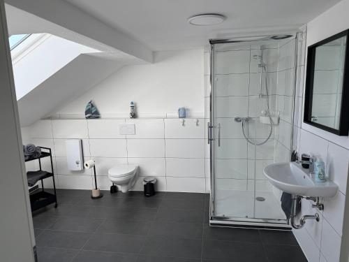a bathroom with a shower and a toilet and a sink at Ferienwohnung Kastellaun in Kastellaun