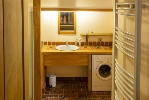 a bathroom with a sink and a washing machine at Les Grisiéres in Montpezat-sous-Bauzon