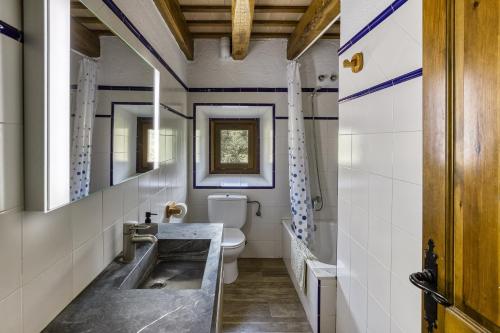 a bathroom with a sink and a toilet at La Torre de Dalt in Santa María de Camós