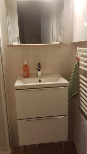 a bathroom with a white sink and a mirror at Villa Eugénie in La Bourboule