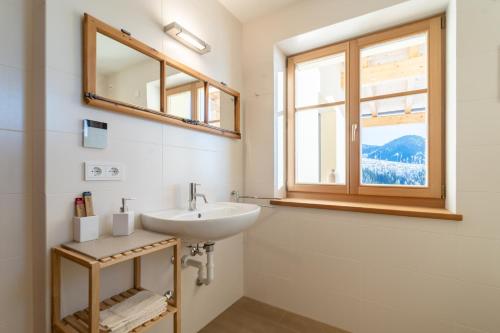 a bathroom with a sink and a window at Lexn Radein in Redagno