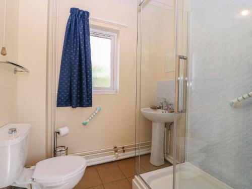 a bathroom with a toilet a sink and a shower at The Turbles - Wagtail in Castlemorton