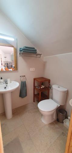 a bathroom with a white toilet and a sink at El Jardin Secreto in Oria