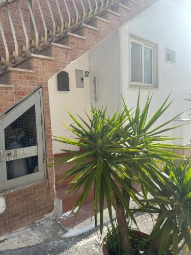 a plant in front of a brick building at Casa Vacanze Flora in Peschici