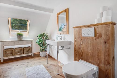 a bathroom with a toilet and a sink at Hof Hohe Eichen in Göhrde