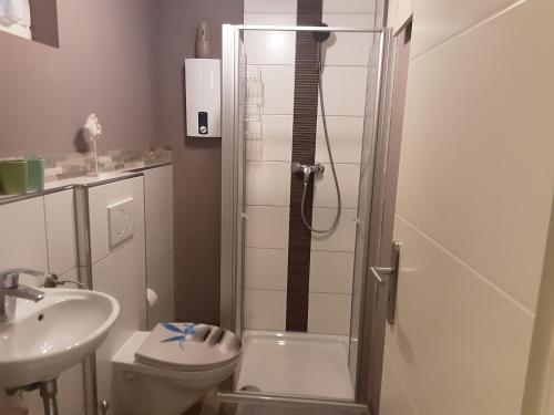 a bathroom with a shower and a toilet and a sink at Garten der Ruhe in Osterbuch