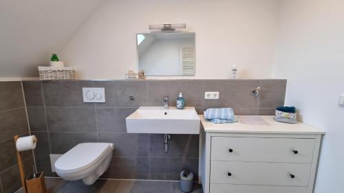 a bathroom with a sink and a toilet and a mirror at Ferienglück Goldach in Hallbergmoos