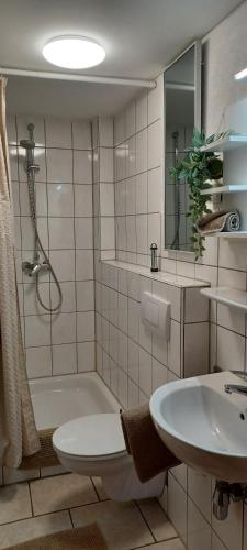 a bathroom with a sink and a toilet and a tub at Ferienunterkünfte Schüle in Leibertingen