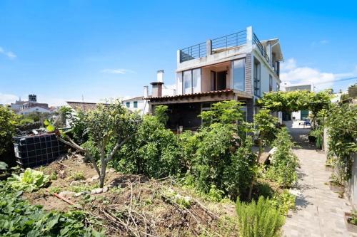 a house on top of a hill with bushes at Casa de Férias Garrett in Lagoa
