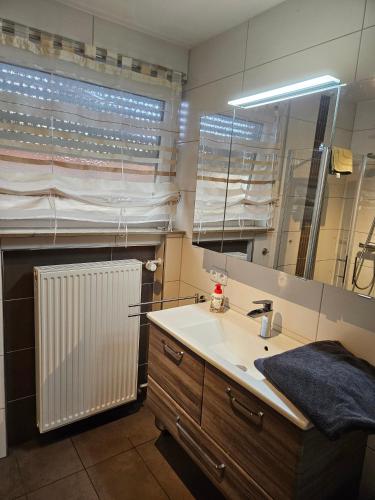 a bathroom with a sink and a mirror at Die Wohnung Stein in Bretzfeld