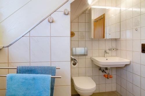 a bathroom with a toilet and a sink at Enderle in Uhldingen-Mühlhofen