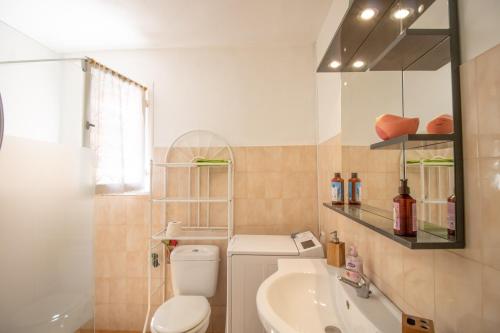 a bathroom with a toilet and a sink and a mirror at Isula Paradise in Linguizzetta