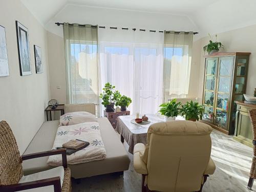 a living room with a couch and a table and a window at Hörselberg Apartment in Hörselberg-Hainich