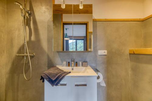 a bathroom with a sink and a shower at Chambre d'hôte Gite Passoud in Oz