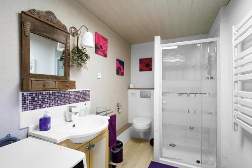 a bathroom with a sink and a toilet and a shower at Domaine De Vic in Saint-Chamassy