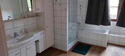 a bathroom with a sink and a tub and a shower at Käfer D in Waldbrunn