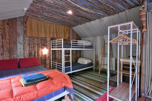a bedroom with two bunk beds and a couch at Cabane Myrtille in Arrien-en-Bethmale