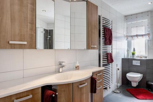 a bathroom with a sink and a toilet at Mentel´s Ferienwohnung in Knüllwald