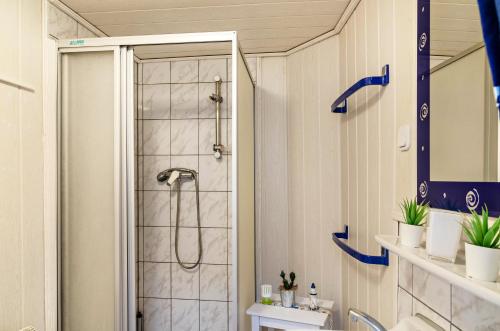 a bathroom with a shower with blue arrows at Ferienhaus Grietjes Huus in Krummhörn