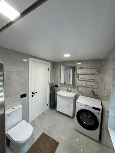 a bathroom with a washing machine and a toilet at kambariu nuoma in Dovilai