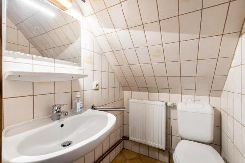a bathroom with a sink and a toilet at Ferienhof Schülp in Schülp