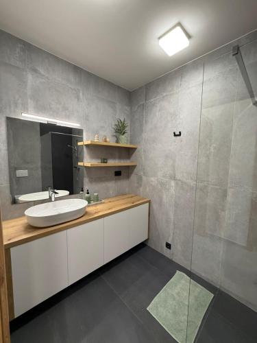 a bathroom with a sink and a mirror at Apartment Moné - Kope in Slovenj Gradec