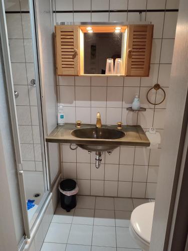 a bathroom with a sink and a toilet at B und E Röck in Meckenbeuren