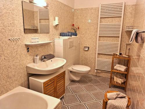 a bathroom with a sink and a toilet at Christianshof in Oppenau