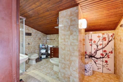 a bathroom with a toilet and a sink at Appartamento Gran Vista in Premeno