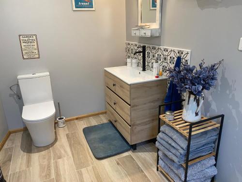 a bathroom with a toilet and a sink and a mirror at La petite Cocotte in Marcheseuil