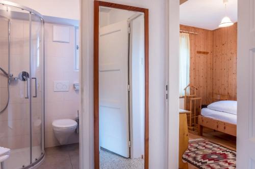 a bathroom with a shower and a toilet and a sink at Ferienhaus Fingerhut in Eggen