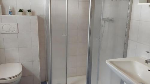 a bathroom with a shower and a toilet and a sink at Ferienwohnung Schmidt in Krummhörn