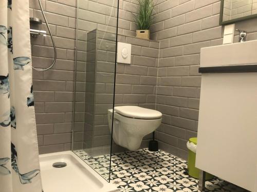 a bathroom with a toilet and a shower at Ferienwohnung Haas Oberschopfheim in Friesenheim