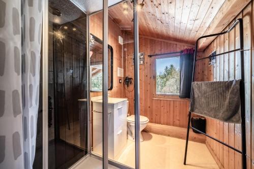 a bathroom with a toilet and a shower at Chalet Phidel - 11 personnes in Bernex
