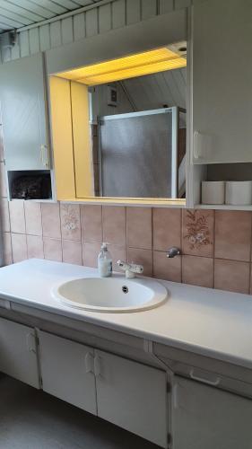 a bathroom with a sink and a mirror at Hyllemose Guesthouse in Lille Skensved