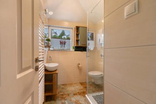 a bathroom with a toilet and a sink at Fewo im Rosenberg mit Dachterasse in Lahnstein
