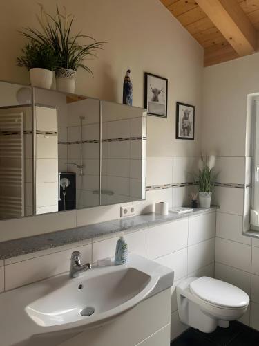a bathroom with a sink and a toilet at Haus Pluto in Deggenhausertal
