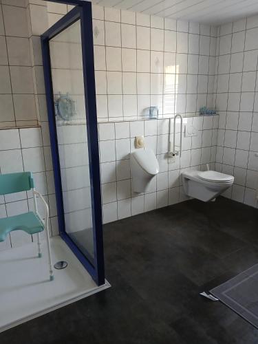 a bathroom with a toilet and a sink and a mirror at Ferienhaus Nosbers in Kleinlangenfeld