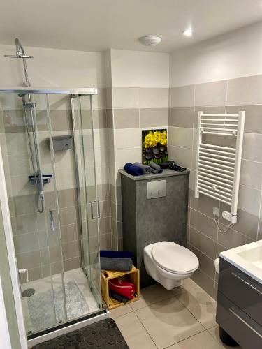 a bathroom with a shower and a toilet and a sink at Gite Charmant Forme et Bien-etre in Masseret