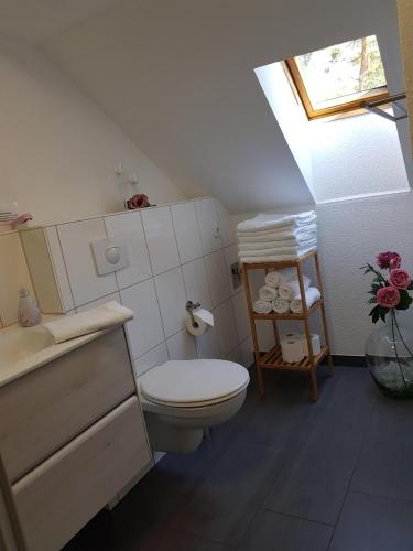 a bathroom with a toilet and a sink and a window at Ferienwohnung Wolf in Nietwerder