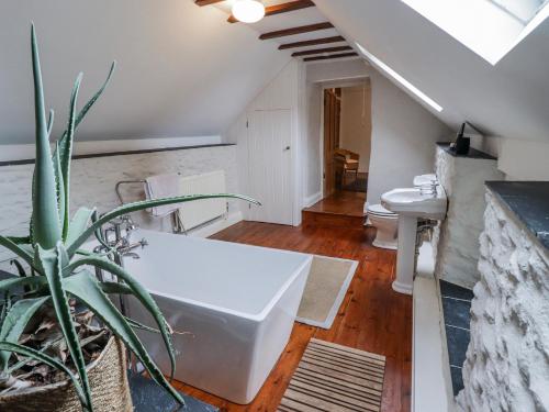 a bathroom with a white bath tub and a potted plant at The Secret Garden in Narberth