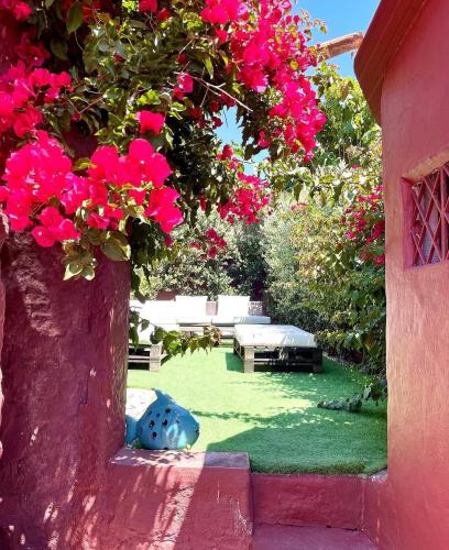 a garden with pink flowers in a yard at Arrábida House in Porto