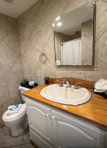 a bathroom with a sink and a toilet and a mirror at Hotel Ponce de Leon in Miami