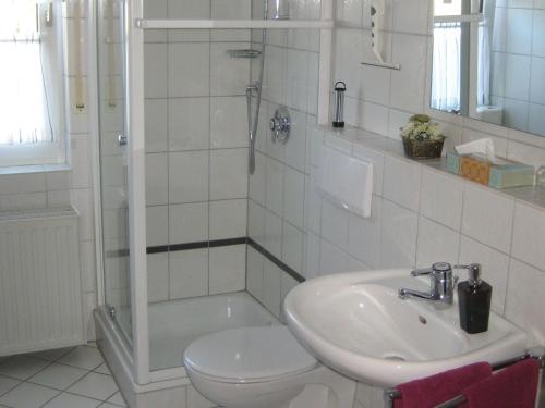 a bathroom with a toilet and a sink and a shower at Ferienhaus Wiese in Olsberg
