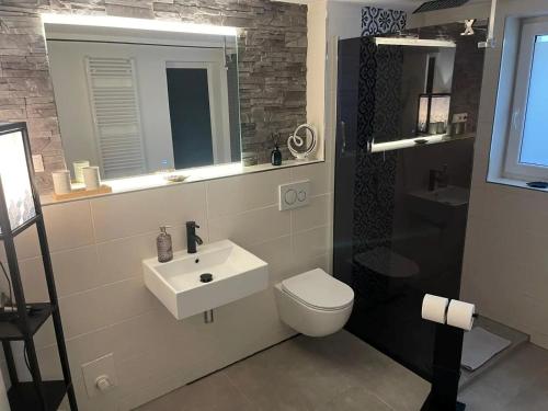 a bathroom with a sink and a toilet and a mirror at Fewo Harzblick Goslar mit Pool in Goslar