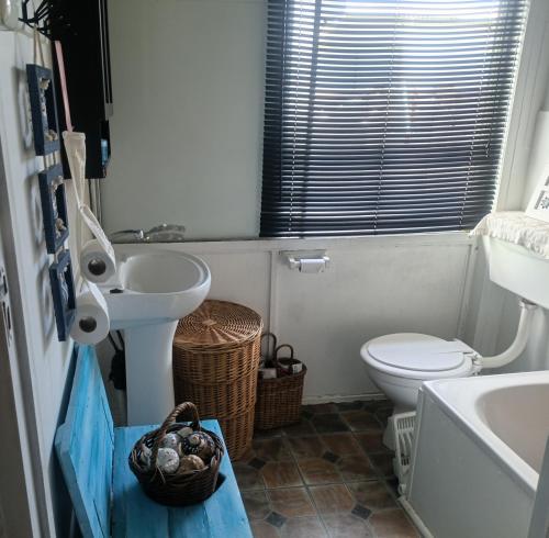 a bathroom with a toilet and a sink at Kaalvoet Kaia in Stilbaai-Oos